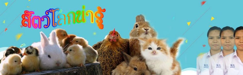 สุดารัตน์บล็อก